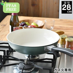 y111̓|Cgő10{ՁztCp Z~bN Z Z~bN tCp 28cm uߓ KXΐp PFASt[ ȒP tbfsgp w PFASFREE y Zubh 