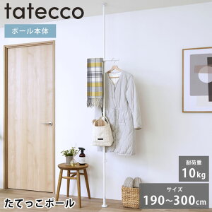 ˂_ c tatecco ^ebR Ă|[ { ˂_ 3m TCR-21WH ς_ [ ȃXy[X cς_ Vv rO LbYnK[ }bgzCg   hZ