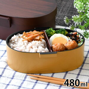 ٓ q l ٓ  ݂ Ɛ􂦂邨ٓ ؖ 480 v~A `{bNX  ̎q Z jq q HAKOYA w  WΉ { j Ȃ