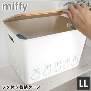 [P[X ߗ ~btB[ ou[ӂt [P[X LLTCY [{bNX ӂt CeA  Ȃ    Еt   ߑP[X rO 킢