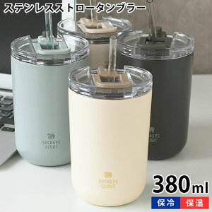 y1210̓|Cgő10{Ձz^u[ Xg[ Tuq \N[g XeXXg[^u[ ^u[ Wt ۗ ۉ 380ml ^d t^  XeX ^ 