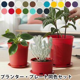 プランター おしゃれ PLANTS GROWING POTS 3サイズ同色セット 植木鉢 プラスチック カラフル 受皿 プランター 室内 屋内 屋外 通気性 日本製 国産樹脂 鉢カバー 鉢植え 鉢 新生活 ポット 軽量 花 水受け