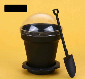  50Zbg X  e   ӂ Aؔ^ Ɩp v ptFJbv ptF fU[g XC[c  hNJbv Xg[Ȃ