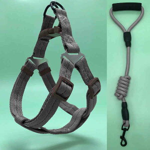  n[lX [h RtH[g X|[gn[lX iCNbV RtH[gn[lX  X|[cn[lX ̃n[lX ̓