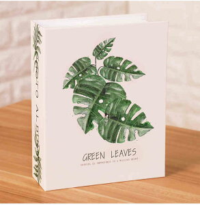 2{Zbg tHgAo 2L Ao ʐ^ e 100[ ʐ^ tHgubN [t t PP|Pbg Ao [ LbY fB[X