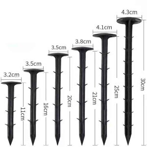 100{Zbg hV[g s Œs V[gL[p[ hV[gp ؉ | ߋ  V[g s htB O G΍ K[fjO _ ƒ؉ G ΍