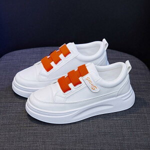  Xj[J[ fB[X [Jbg }WbNe[v 4cmq[ ɂ y ₷ ɂ SR V[Y C ʋ ʊw JWA y t S3F