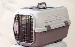 ybgL[obO ^ ybgP[W  L ^ o ObY h