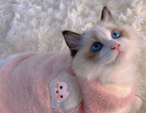  L h΍ g ybg xXg H~ ybgEFA Ȃ ybgpi   g {A h RR  킢