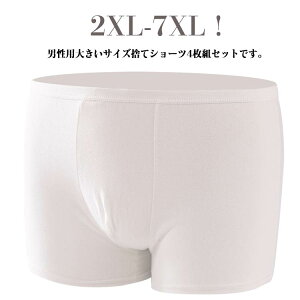 S 傫TCY ĝăpc jp 4  {NT[V[c gNX COs ĝăpc  Rbg Cws @ op g  V[c   l