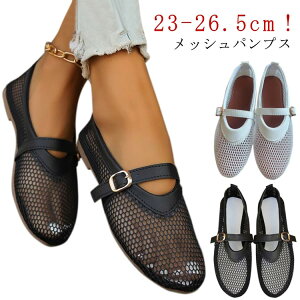 p[eB[  bV bVf pvX V[Y bVpvX ؂ _炩 T_ tbgV[Y Xbp Xgbv t H C y r[`T_ oGV[