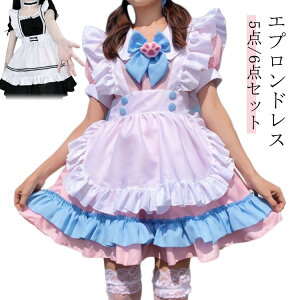 O   Ch ߑ 5_/6_Zbg s[X^Cv { J`[V  RXv 킢 [^ nEB  RX`[ q l 傫TCY 