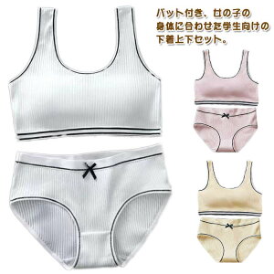 ㉺Zbg V[cZbg iCgu mC[u V[cZbg Vv w WjAuW[ pbht w ㉺Zbg g[jO tBbglX K ^ X|[c