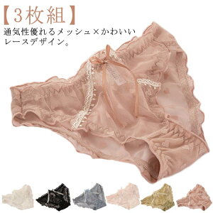 [X bV K[Y V[c LbY  ̎q qV[c q  3Zbg q Ci[  A_[EFA ʋC 킢 L XL