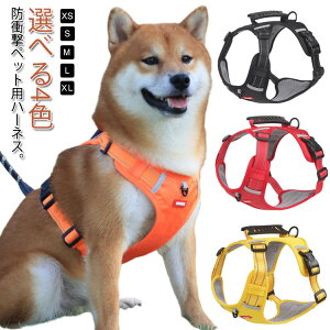 n[lX ^ p n[lXxg  n[lX nht ^ ^ hՌ [h hbOpi ybg op Ȃ U JWA ȒPE  ybgpi ߉\ P 