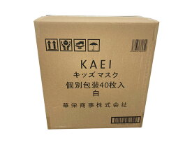 KAEI キッズマスク（12.0×8.5cm）個別包装40枚入り50箱セット・1ケース2000枚入・BFE/PFE/VFE99%高性能カットフィルター・キャンセル変更不可・ホワイト