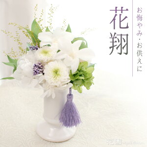 vU[uht[wāxNAP[Xt / ݁E ݁E ݁@Mtg@NE@ @v  䋟 c 