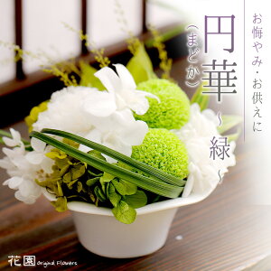 vU[uht[w~؁i܂ǂj`΁`xpσP[Xt ݁E ݁@Mtg@@NE@ @v  䋟 c 