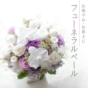 vU[uht[ wt[lx[xNAP[Xt ݁E ݁@Mtg@NE@ @v  䋟 c 