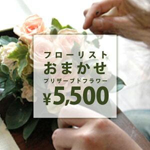 t[Xg܂vU[uhAW y\Z5500~z@a@蕨@LO@̓@hV̓@vU[uht[AWg@v[g@Mtg@͂Ȃ@ԁ@
