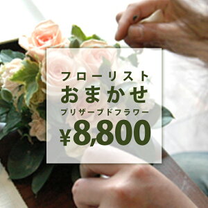 t[Xg܂vU[uhAW y\Z8800~z@a@蕨@LO@̓@hV̓@vU[uht[AWg@v[g@Mtg@͂Ȃ@ԁ@