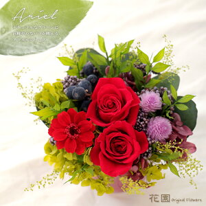 vU[uht[wAGEbhxNAP[Xt@a@蕨@LO@̓@hV̓@vU[uht[AWg@v[g@Mtg@͂Ȃ@ԁ@