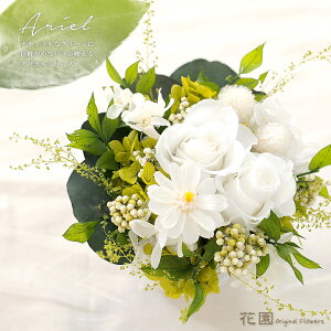 vU[uht[wAGEzCgxNAP[Xt@a@蕨@LO@̓@hV̓@vU[uht[AWg@v[g@Mtg@͂Ȃ@ԁ@