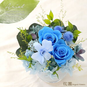 vU[uht[wAGEu[xNAP[Xt@a@蕨@LO@̓@hV̓@vU[uht[AWg@v[g@Mtg@͂Ȃ@ԁ@