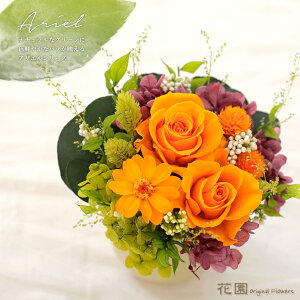 vU[uht[wAGEIWxNAP[Xt@a@蕨@LO@̓@hV̓@vU[uht[AWg@v[g@Mtg@͂Ȃ@ԁ@