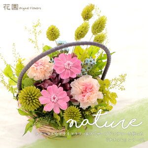 vU[uht[wi`EWjAsNxNAP[Xt@a@蕨@LO@̓@hV̓@vU[uht[AWg@v[g@Mtg@͂Ȃ@