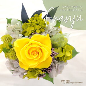 vU[uht[wtWECG[xNAP[Xt@a@蕨@LO@̓@hV̓@vU[uht[AWg@v[g@Mtg@͂Ȃ@