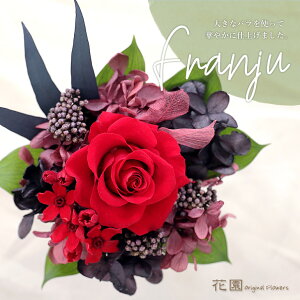 vU[uht[wtWEbhxNAP[Xt@a@蕨@LO@̓@hV̓@vU[uht[AWg@v[g@Mtg@͂Ȃ@ԁ@