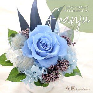 vU[uht[wtWEu[xNAP[Xt@a@蕨@LO@̓@hV̓@vU[uht[AWg@v[g@Mtg@͂Ȃ@ԁ@