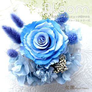 vU[uht[wu[Eu[xNAP[Xt@a@蕨@LO@̓@hV̓@vU[uht[AWg@v[g@Mtg@͂Ȃ@ԁ@