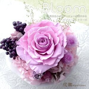 vU[uht[wu[Ep[vxNAP[Xt@a@蕨@LO@̓@hV̓@vU[uht[AWg@v[g@Mtg@͂Ȃ@ԁ@