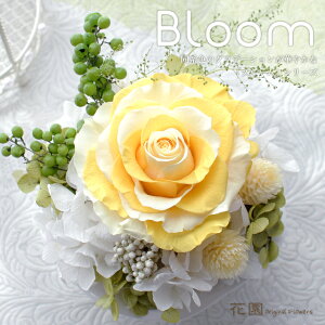 vU[uht[wu[ECG[xNAP[Xt@a@蕨@LO@̓@hV̓@vU[uht[AWg@v[g@Mtg@͂Ȃ@ԁ@