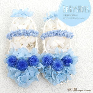 vU[uht[wxr[V[YEu[xNAP[Xt@a@蕨@LO@̓@hV̓@vU[uht[AWg@v[g@Mtg@͂Ȃ