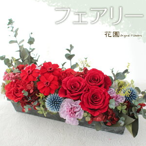 vU[uht[wtFA[ibhjx/蕨@Mtg@̓@j@a@蕨@LO@̓@hV̓@vU[uht[AWg@v[g@Mt