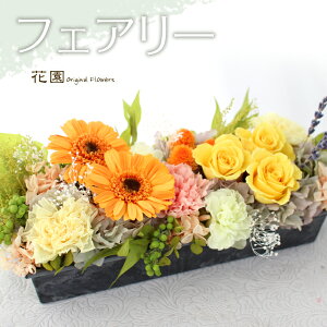 vU[uht[wtFA[iCG[jx/蕨@Mtg@̓@j@a@蕨@LO@̓@hV̓@vU[uht[AWg@v[g@M