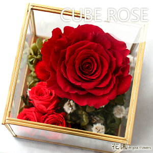 vU[uht[wL[u[Y@`bh`@xNAP[Xt@a@蕨@LO@̓@hV̓@vU[uht[AWg@v[g@Mtg@