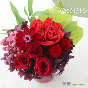 vU[uht[wrrAEbhxNAP[Xt@a@蕨@LO@̓@hV̓@vU[uht[AWg@v[g@Mtg@͂Ȃ@ԁ@