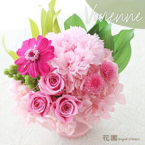 vU[uht[wrrAEsNxNAP[Xt@a@蕨@LO@̓@hV̓@vU[uht[AWg@v[g@Mtg@͂Ȃ@ԁ@
