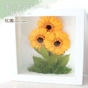 vU[uht[w{bNXt[`SAN` x(Ǌ|ptς)@a@蕨@ w LO@̓@hV̓@vU[uht[AWg@v[g@