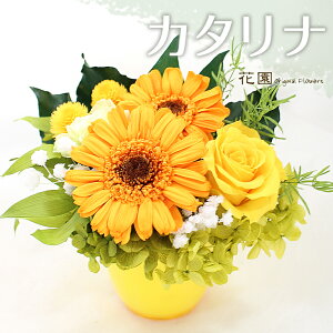 vU[uht[wJ^ix@a@蕨@ w LO@̓@hV̓@vU[uht[AWg@v[g@Mtg@͂Ȃ@ԁ@j t