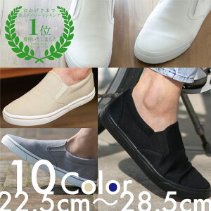 _^yLO1ʎ܁zXb| Y fB[X fbLV[Y n Xj[J[ LoX  ʊw ʋ AoCg ItBX  @  C ubN 