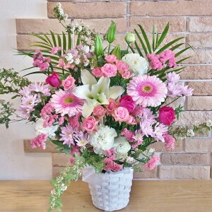 JXj  j AWgyMtg z JƏj ay t[MtgzuJX j p AWiPnLjvyN j  \ jԁzy a