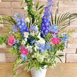 JXj  j JƏj AWgۓIȃu[n Mtg  X^h a  t[MtguJX jp AWiu[ p[vnjvy