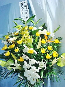 yV  X^hzy ʖ X^hԁzy ԁzyy14܂Łzuʖ  ʎ p Ӓ  X^hԁv(aEEFn̐F)y ݁z