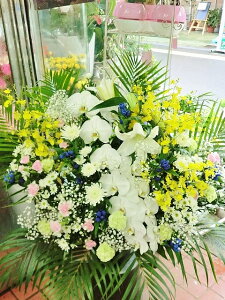 yV  X^hzy ʖ X^hԁzy ԁzyy14܂Łzuʖ  ʎ p Ӓ  X^hԁv(aEɒWF)y ݁z