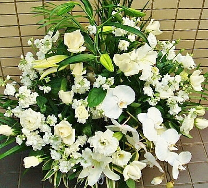 楽天市場 供花 アレンジ 葬儀 花 お供え お悔やみ 送料無料 ユリ 胡蝶蘭 アレンジメント あす楽 命日 法事 枕花 周期法要 お通夜 告別式 枕花 供養花 仏花 生花 献花 お彼岸 お盆 初盆 新盆 お供え花 スタンド花 胡蝶蘭バラ 花えん